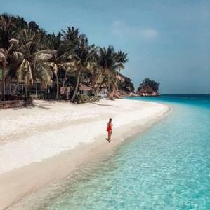 Meet your Posher, Daisy